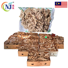 HALIA MUDA BENTONG Premium Segar