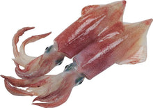 SOTONG /SQUID FROZEN Whole With Skin RED Fz