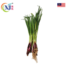 DAUN BAWANG