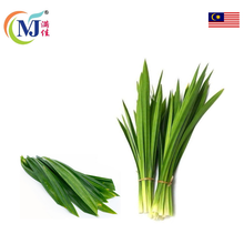 DAUN PANDAN / Pandan leave