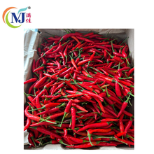CILI PADI MERAH Thailand