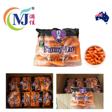 澳大利亚 幼萝卜 一包250斤