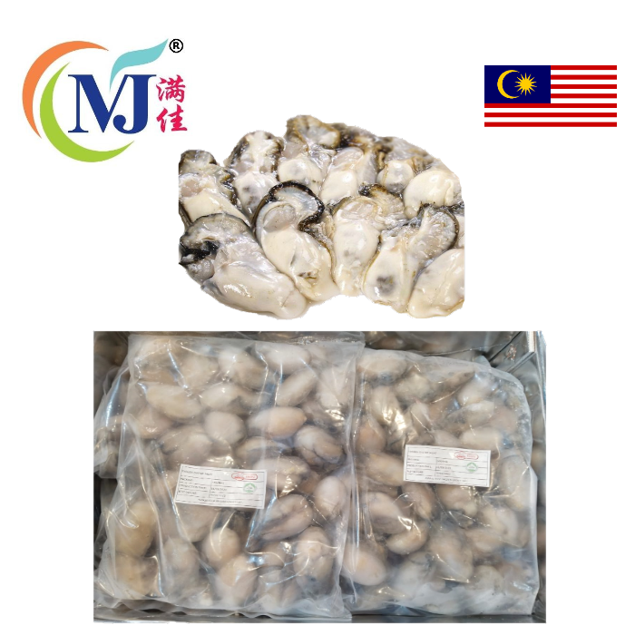 OYSTER MEAT Frozen