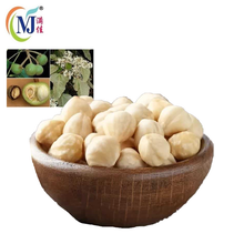 BUAH KERAS / CANDLENUT