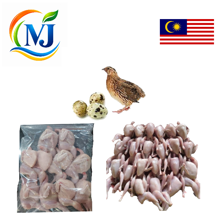 BURUNG PUYUH / BURUNG KUIL