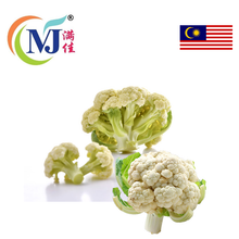 CAULIFLOWER / KOBIS BUNGA Cameron