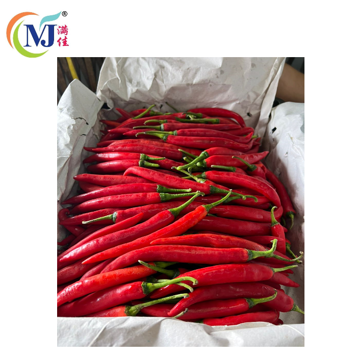 CILI MERAH BESAR/CILI MERAH Gulai (A)