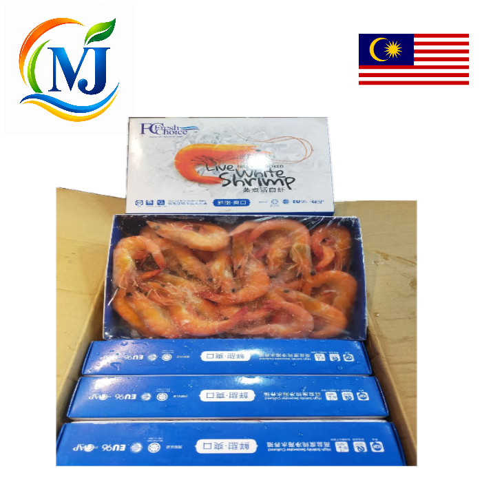 HARIMAU MASAK UDANG 40-50no/pek