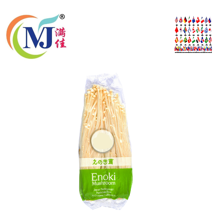 ENOKI CENDAWAN Tempatan