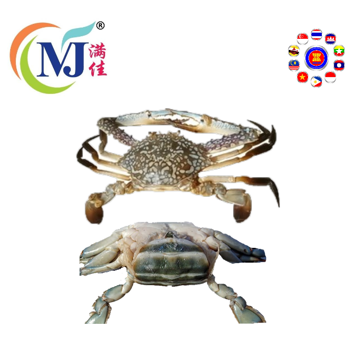 蟹花蓝雄性冷冻