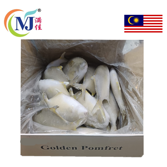 FISH BAWAL EMAS/ Golden Pomfret