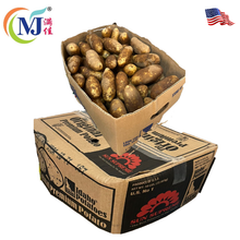 KENTANG RUSET USA