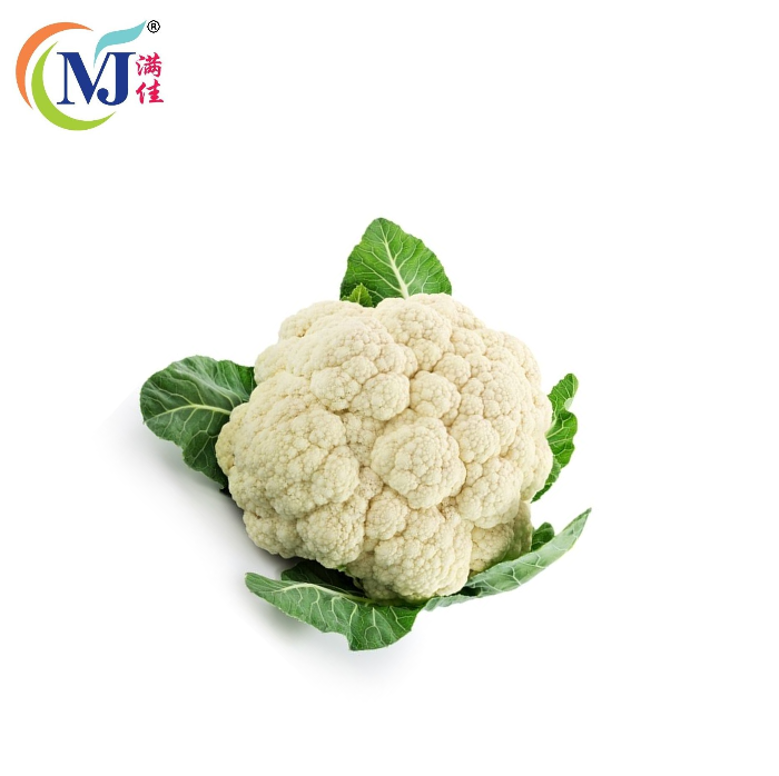 CAULIFLOWER / KOBIS BUNGA White