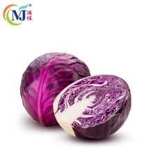 KOBIS BULAT / CABBAGE ROUND Purple