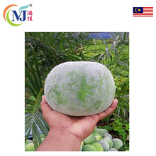 BUAH KUNDUR / WINTER Melon 冬瓜 Fresh