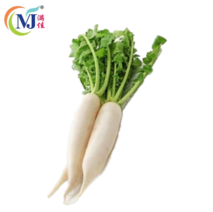 LOBAK PUTIH/DAIKON