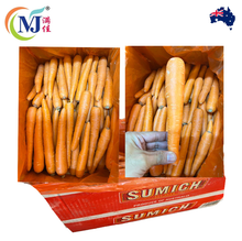 CARROT Australian