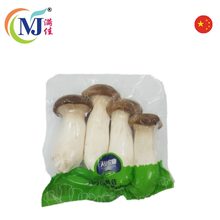 MUSHROOM KING OYSTER/ERYNGII