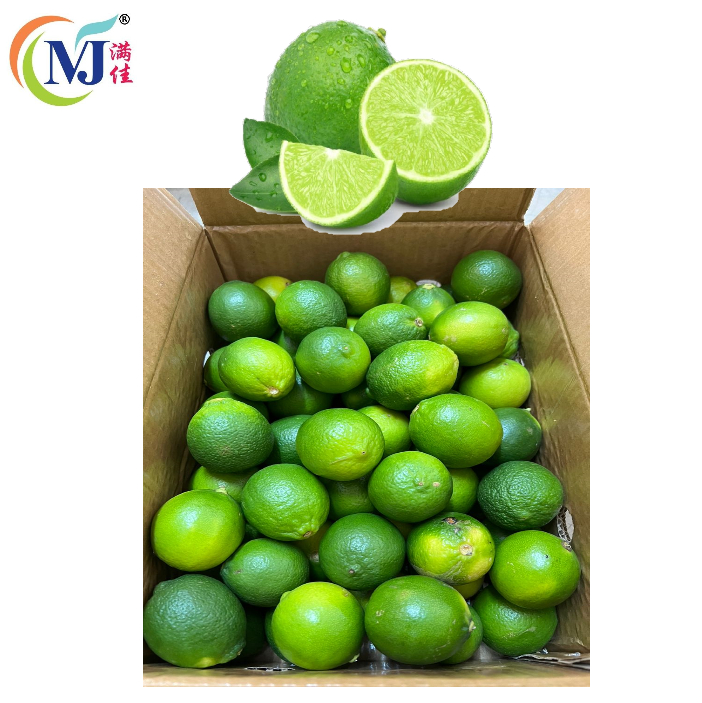 LIMAU NIPIS /LIME Green BIG Saiz Fresh