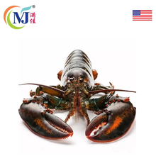 LOBSTER PRAWN American