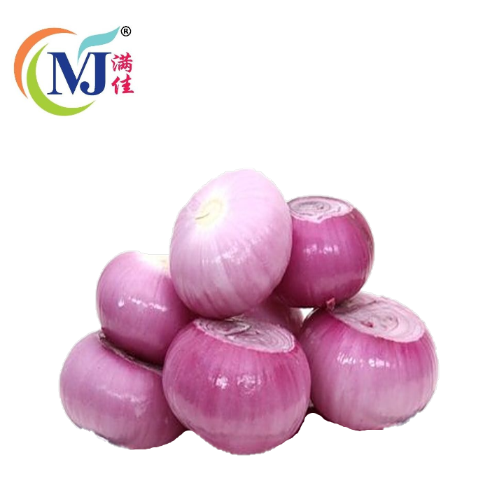 洋葱红大皮