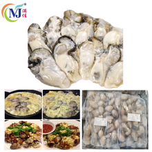 OYSTER MEAT Frozen