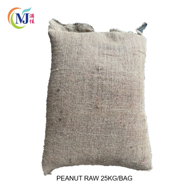 PEANUT RAW / Kacang Tanah (with skin)