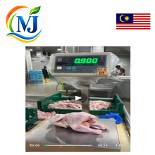 AYAM BURUNG TUA Segar