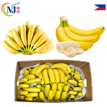 PISANG MONTEL /BANANA CAVENDISH Fresh