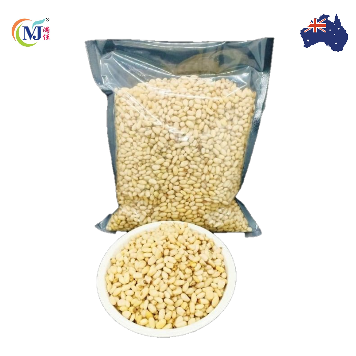 PINE NUT Australian