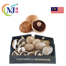 MUSHROOM PORTOBBELLO Fresh