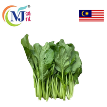 SAWI HIJAU / Mustard Green Local