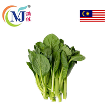 SAWI PENDEK MINYAK / Yu Choy Sum 油菜心 Cameron