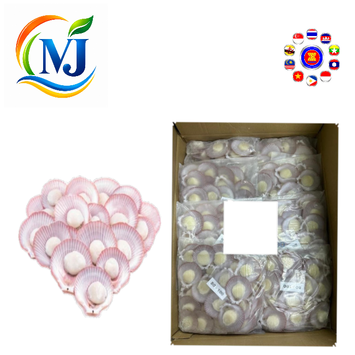 粉红扇贝1/2壳 500g/包