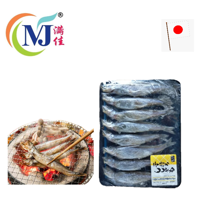 FISH SHISAMO 日本 8件/包