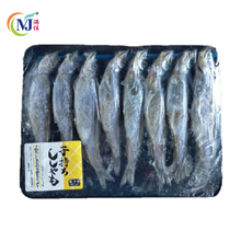 FISH SHISAMO 日本 8件/包