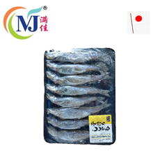 IKAN SHISAMO Jepun 8pcs/pek
