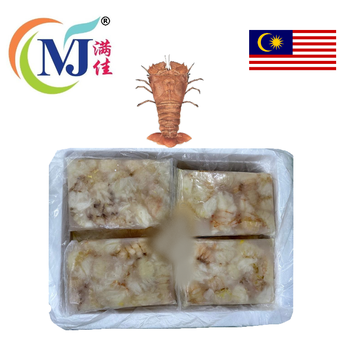 LOBSTER SLIPPER MEAT Frozen