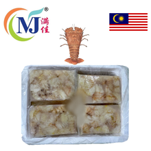 LOBSTER SLIPPER MEAT Frozen