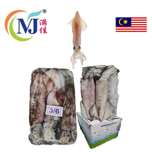 苏东/鱿鱼 冷冻整只 带皮 红色 Fz