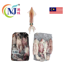 苏东/鱿鱼 冷冻整只 带皮 红色 Fz