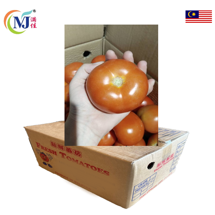 TOMATO MERAH (A) Segar