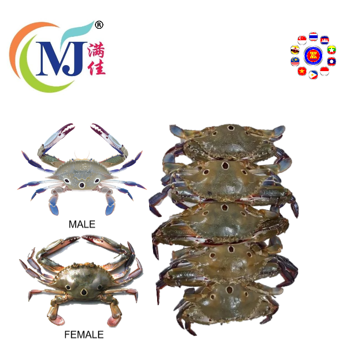 CRAB 3POT BLUE Male Frozen