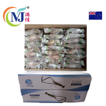 淡水虾 / Udang Galah GRED-A BORNEO