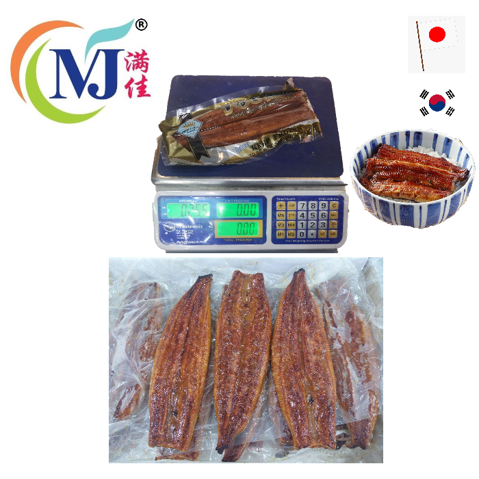 FISH FILLET UNAGI Frozen