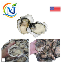 OYSTER LIVE USA
