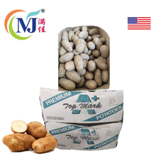 美国褐皮马铃薯