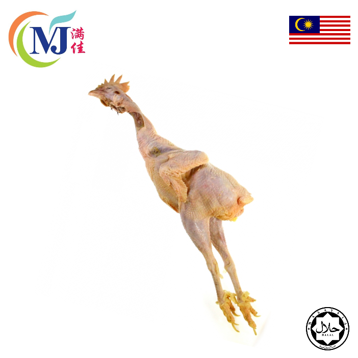 CHICKEN OLD WHOLE/ Ayam Tua M'sia Halal