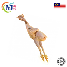 CHICKEN OLD WHOLE/ Ayam Tua M'sia Halal