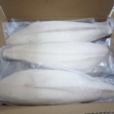 MENTEGA FILLET IKAN Gred A USA Saiz Standard